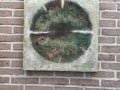 De kiwi 50 60