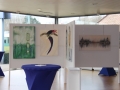 Tentoonstelling FridaPaintings Maart 2018 bij Volvo Heremans 22